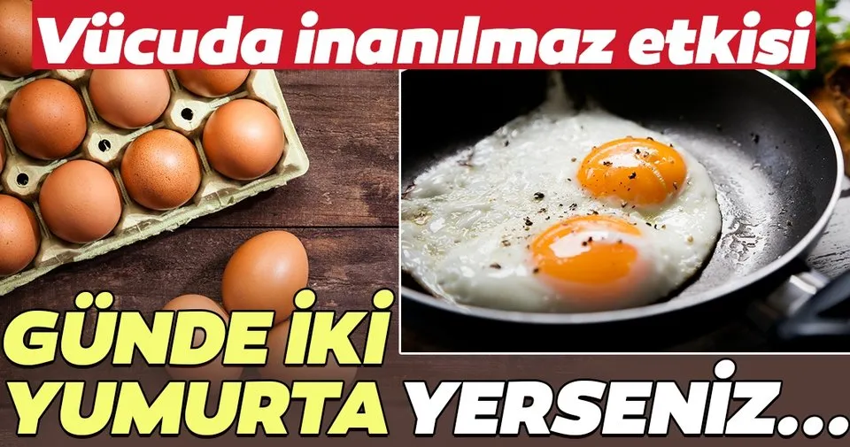 gunde iki yumurta yerseniz saglik haberleri