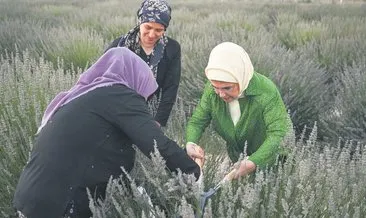 Ekolojik Köy’den yerli üretim mesajı