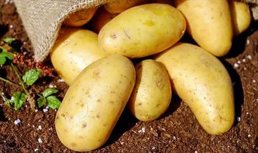 Sıfır gümrüklü patates ithalatı süresi 31 Mayıs’a uzatıldı!