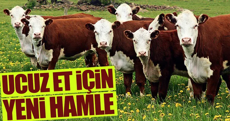 Ucuz et için yeni hamle