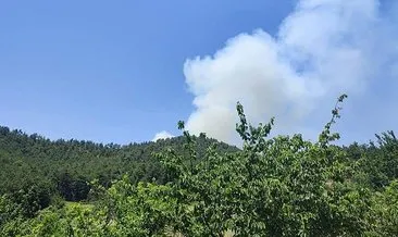 Bursa’da orman yangını: Ekipler helikopterlerle müdahale ediyor! #bursa