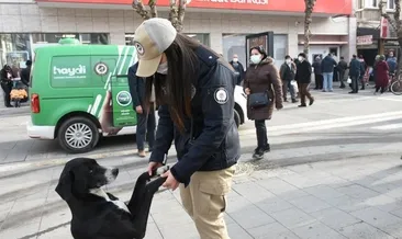 Uşak Emniyeti hayvanlara dikkat çekti