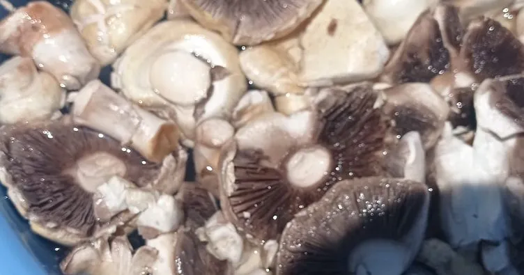 Niğde’de 2 kişi mantardan zehirlendi