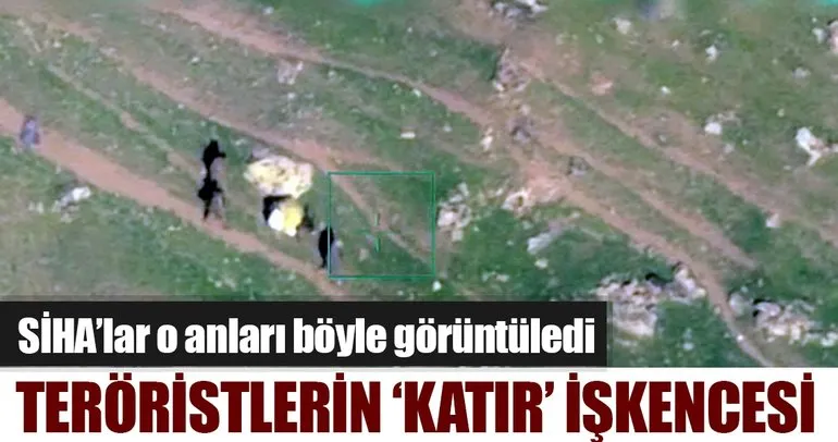 PKK’lı teröristlerin katırlara yaptığı işkenceyi SİHA’lar görüntüledi!