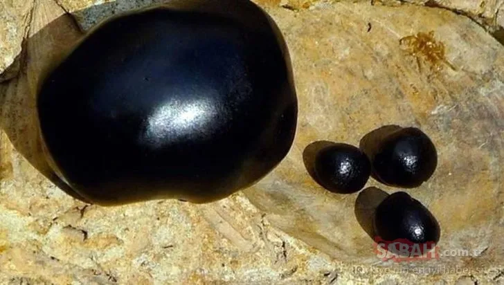 Dağların gözyaşı olarak biliniyor... Mumiyo gizli kalmış bir şifa kaynağı!