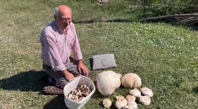 Sivas’ta 1900 rakımlı arazide bulundu: Tam 15 kilo!