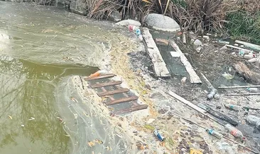 Botanik Parkta ihmal dehşeti