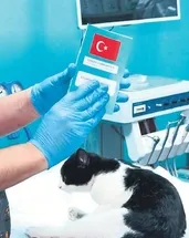 Çip taktırmak için son gün 31 aralık