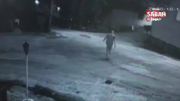 Son dakika... Bolu'da dehşet! 5 köpeğin yaşlı adama saldırdığı anlar kamerada | Video