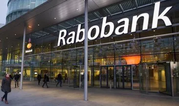 Rabobank: Türk Lirası daha da değer kazanabilir