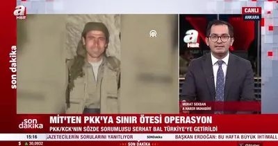 MİT’ten PKK’ya sınır ötesi operasyon: Serhat Bal yakalanarak Türkiye’ye getirildi | Video