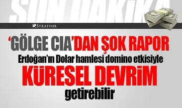 Stratfor: Erdoğan’ın küresel sistemi değiştiriyor! Dolar hamlesi domino etkisi yaparsa...