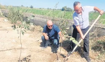 Yangınlarda kaybedilen her ağaç için 10 fidan dikiyor #bursa