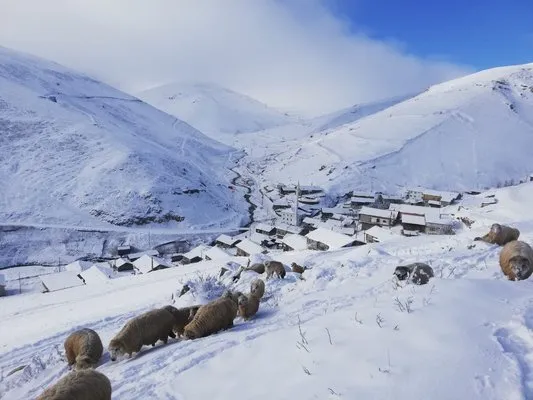 Bayburt - Trabzon sınırındaki köyler kar beyaz