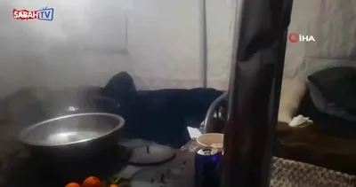 Çin’de 5.0 büyüklüğünde deprem | Video