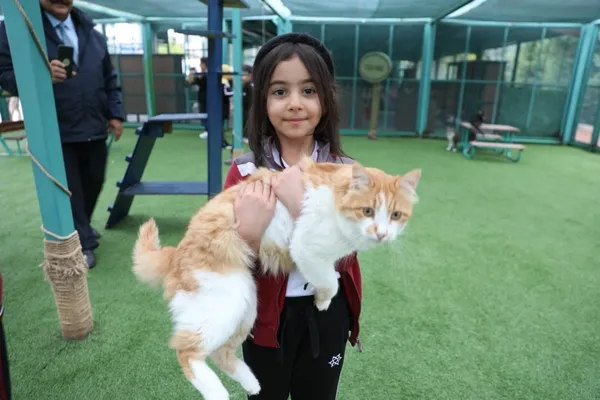 minik-dostlarin-yeni-adresi-kedi-kasabasi-1793004844241.jpg