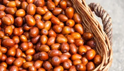 Alternatif meyve: Hünnap!