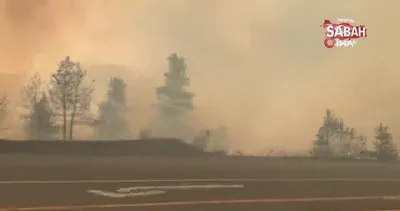 Aşırı sıcakların kasıp kavurduğu Kanada’da orman yangını | Video