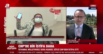 SON DAKİKA: CHP’den bir istifa daha! İstanbul Milletvekili Sera Kadıgil Sütlü’den flaş açıklama