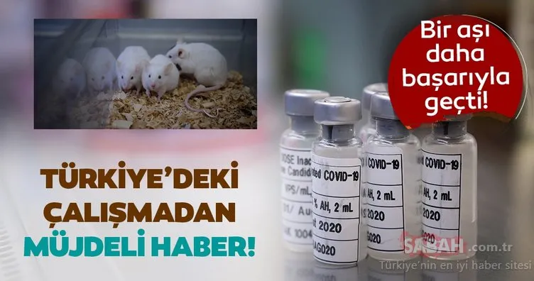 Son Dakika: Türkiye’de geliştirilen corona virüsü aşısından müjdeli haber... Başarıyla geçti!