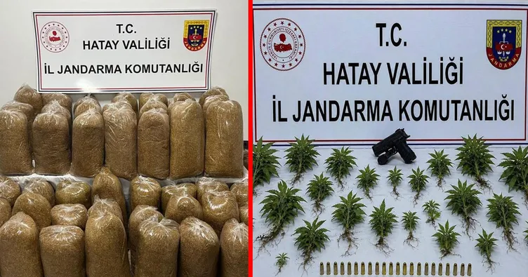 Hatay’da nefes kesen operasyon! Çok sayıda uyuşturucu madde  ve silah ele geçirildi: 71 gözaltı