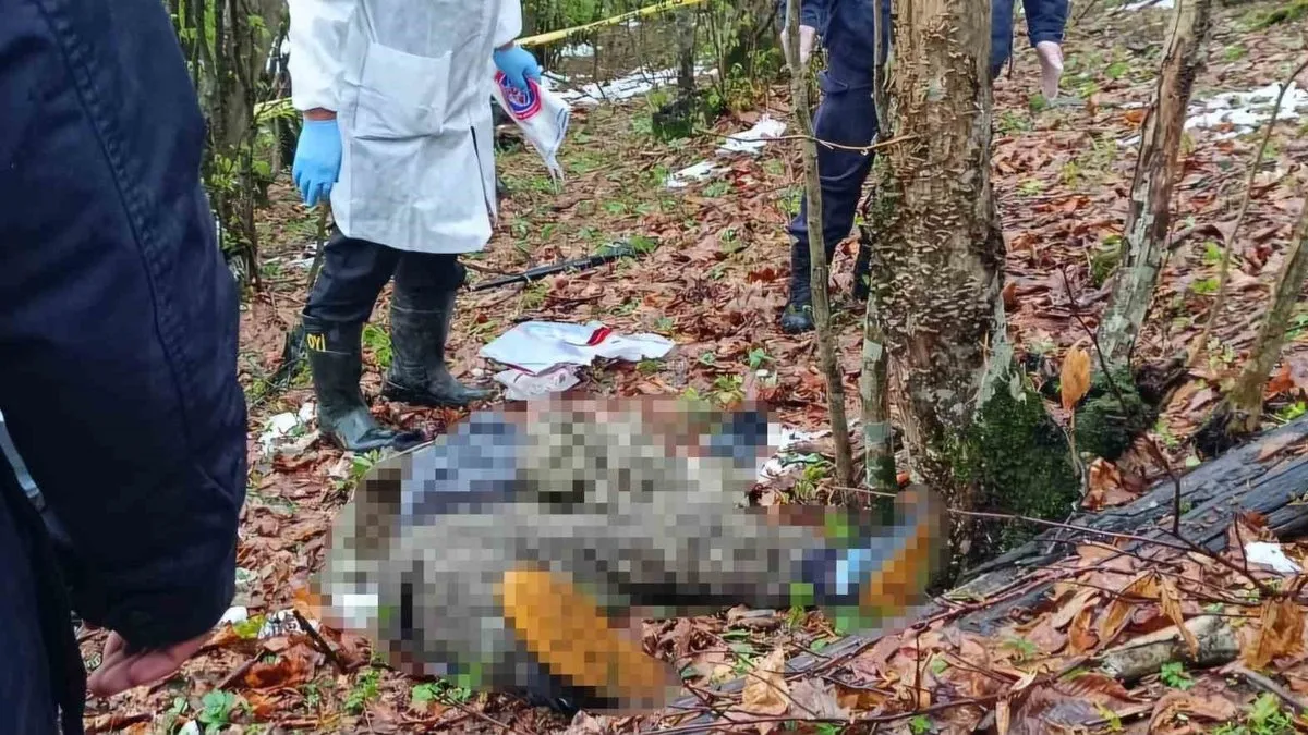 Samsun’da sır ölüm: 23 yaşındaki Burhan ormanlık alanda bulundu! Samsun’da sır ölüm: 23 yaşındaki Burhan ormanlık alanda bulundu!