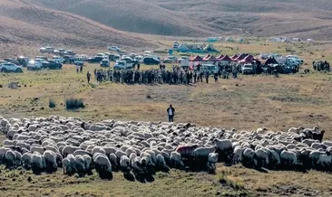 Terörüsüz Türkiye ile dağlara bahar geldi #tunceli