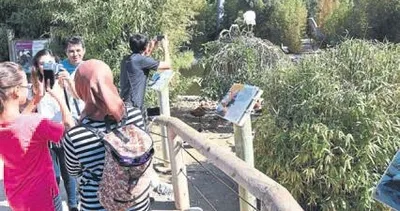 Milyonlar ‘Doğal Yaşam’a akın etti