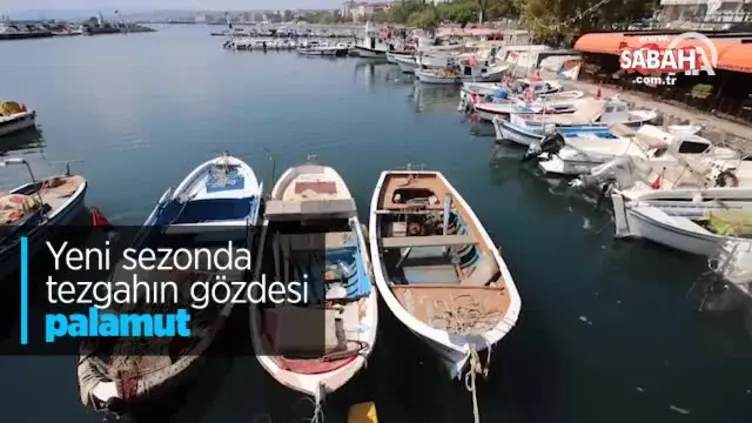 Yeni sezonda tezgahın gözdesi palamut