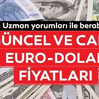 Dolar kuru son durum bilgisi ile bugün ne kadar? 14 Mayıs canlı döviz kuları dolar euro alış ve satış fiyatları