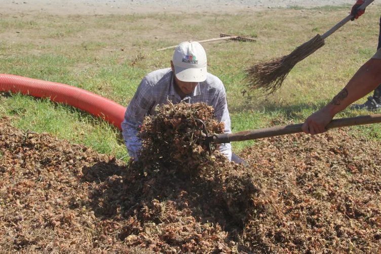 Bu işi yapan saatte 3 bin 500 TL kazanıyor: Yılda sadece 1,5 ay çalışıyorlar!