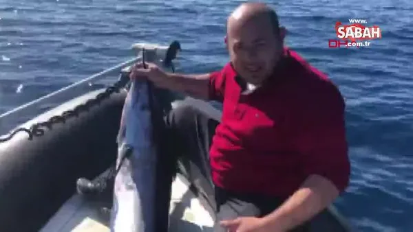 KKTC'de yakalanan 40 kiloluk dev kılıç balığı görenleri şaşırttı | Video