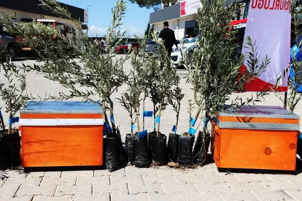 adiyamanda-ciftcilere-buyuk-destek-1500-arili-kovan-ve-yaklasik-28-bin-zeytin-fidani-dagitildi-1779470731519.jpg