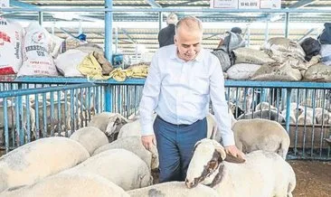 Başkan Zolan hayvan pazarını ziyaret etti