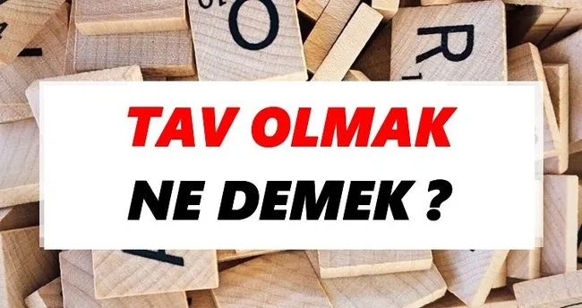 Tav olmak Ne Demek? TDK’ya Göre Tav olmak Sözlük Anlamı Nedir?
