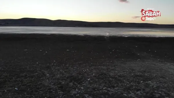 Gölde balık tuttukları yerler şimdi toprak oldu | Video