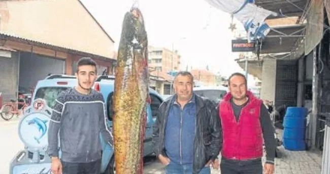 Barajda 80 kiloluk yayın balığı kaptı