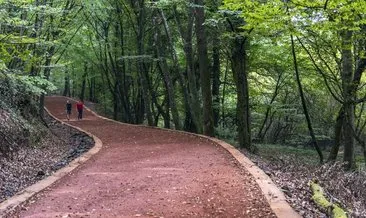 Belgrad Ormanı Yürüyüş Parkuru Kaç Kilometre? Belgrad Ormanı Yürüyüş Parkuru Başlangıcı Ve Bitişi Nerede?
