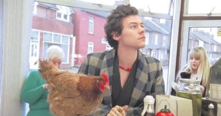 Rol arkadaşı bir tavuk!