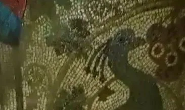Manisa’da definecilerin açtığı çukurdan 1800 yıllık tavus kusu mozaiği çıktı
