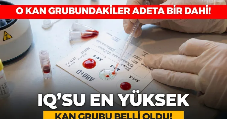 En zekiler o kan grubundanmış! Japon bilim insanlarından IQ’su en yüksek kan grubu teorisi!