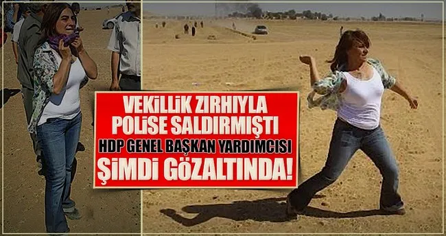 Aysel Tuğluk gözaltına alındı