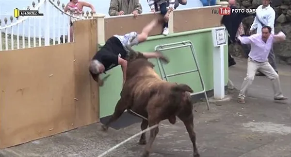 Boğa'nın gazabına uğradı