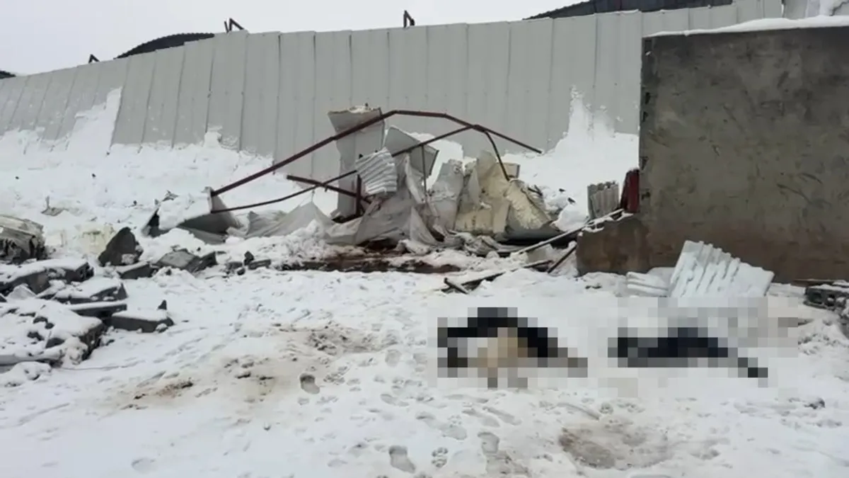 Siirt’te 3 ahırın çatısı çöktü! Çok sayıda hayvan telef oldu Siirt’te 3 ahırın çatısı çöktü! Çok sayıda hayvan telef oldu