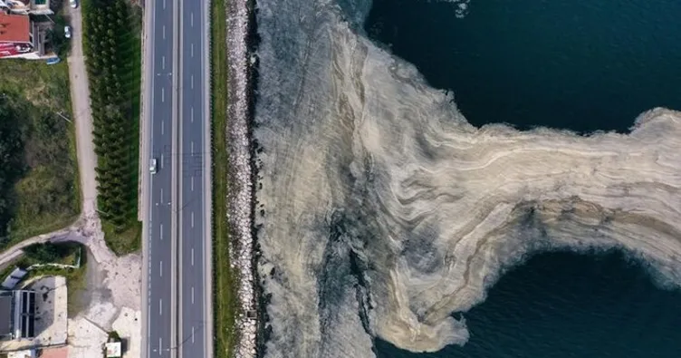 Müsilajla mücadele için Bilim Kurulu kuruldu