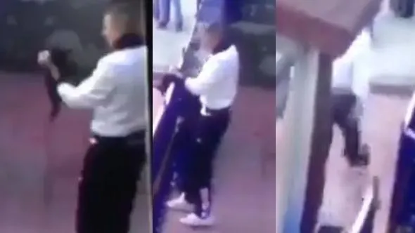 Kediye yapılan işkenceye soruşturma - 1