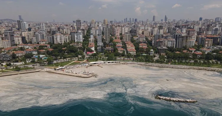 Müsilaja karşı bakteri hamlesi! Uzman isimden dikkat çeken sözler