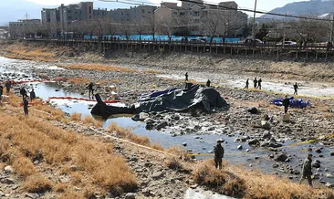 Güney Kore’de uçuş eğitimi sırasında facia: Askeri helikopter yere çakıldı