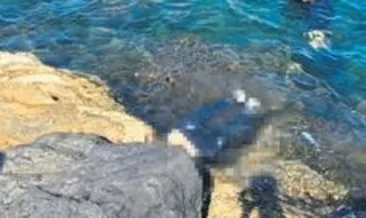 Adana’da Seyhan Nehri’nde ceset bulundu