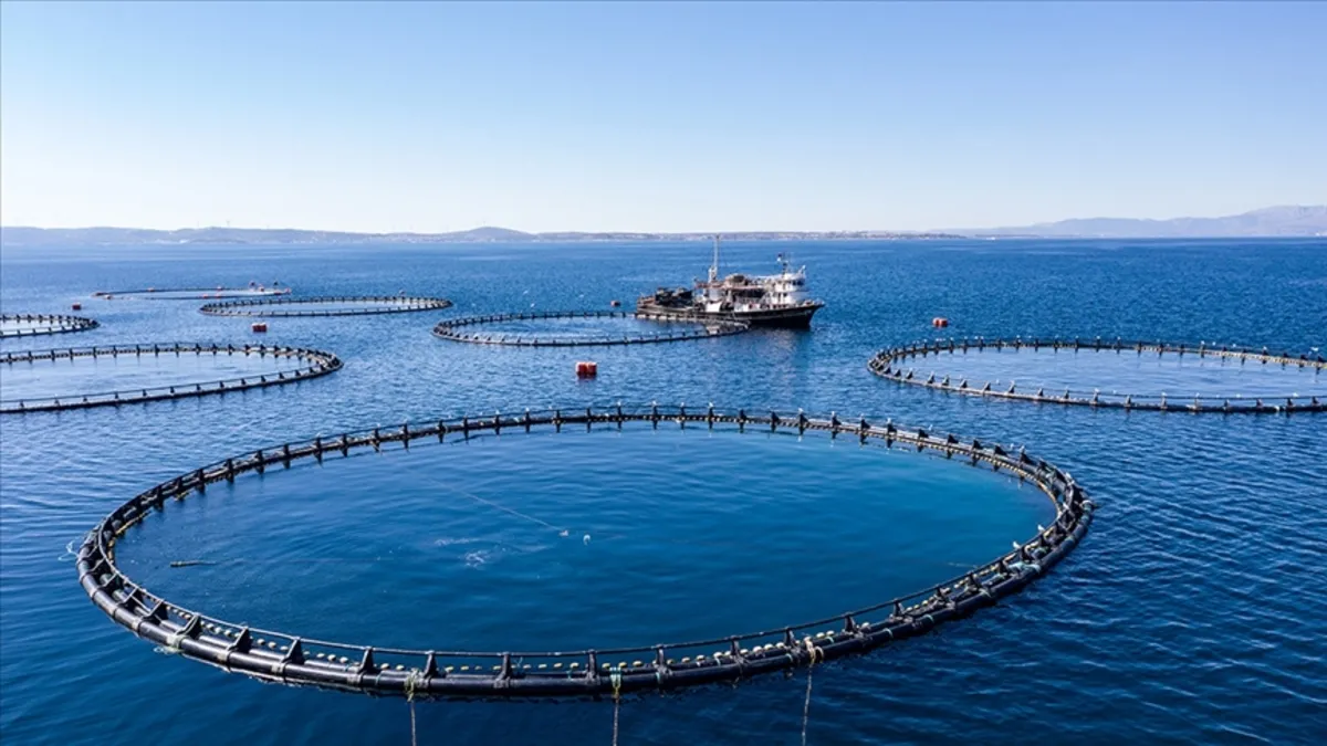 Su ürünleri üretimi 2025 yılında yüzde 11,1 arttı